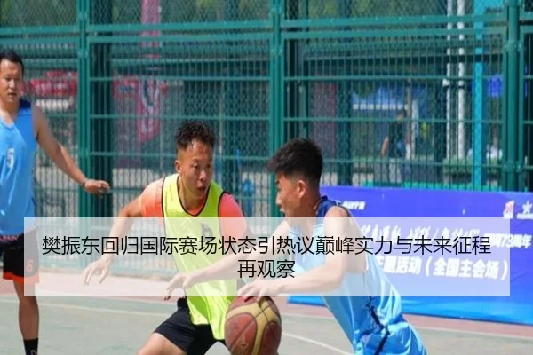 樊振东回归国际赛场状态引热议巅峰实力与未来征程再观察